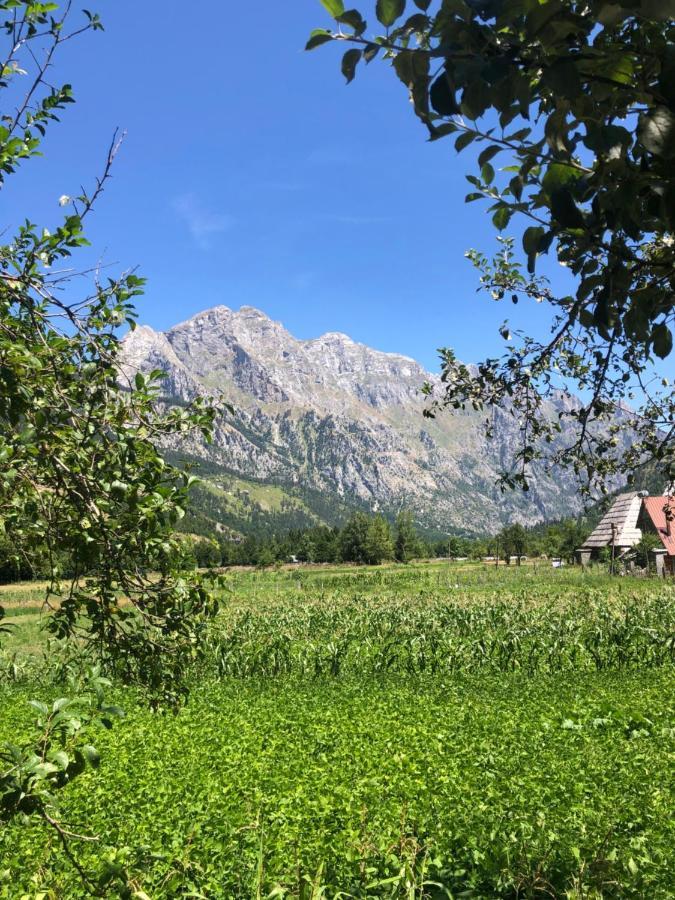 Guest House Ledio Валбона Екстериор снимка